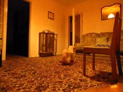 Theo Lee Roberts và Paul Stevenson, con búp bê dường như bị một linh hồn điều khiển khiến nó tự dịch chuyển.