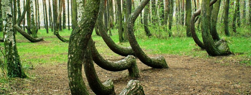 Vì vậy, người ta đồn rằng một thế lực siêu nhiên bí ẩn khiến con người gặp phải những sự kiện lạ lùng trên.