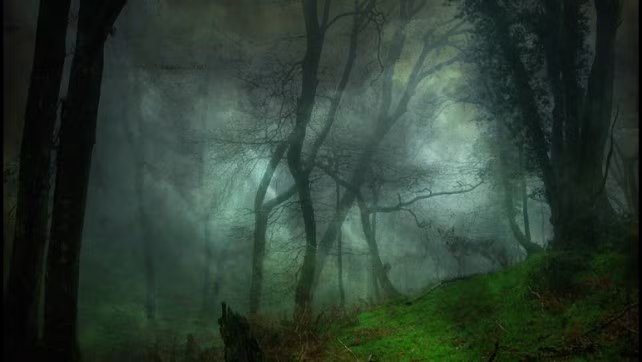 Theo các chuyên gia, "tam giác quỷ Bermuda" ở trên cạn này được phát hiện lần đầu tiên vào khoảng năm 1960. Nhà sinh học Alexandru Sift chính là người tìm ra khu vực đặc biệt này.