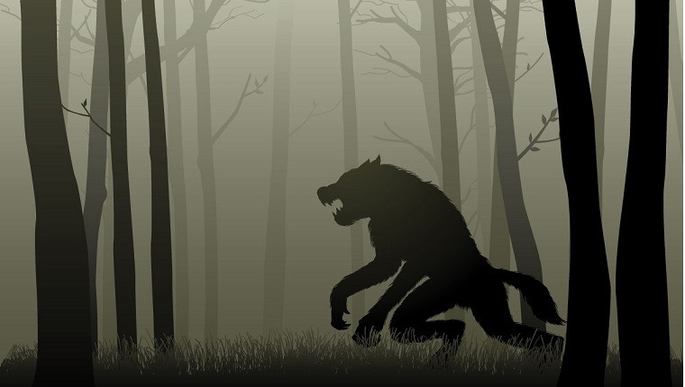 Sau khi ác quỷ xuất hiện tại lâu đài Leap, một con chó quỷ được nhìn thấy. Nó được một số nhân chứng mô tả mang hình hài một con chó đen to lớn.