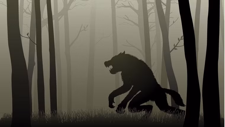 Sau khi ác quỷ xuất hiện tại lâu đài Leap, một con chó quỷ được nhìn thấy. Nó được một số nhân chứng mô tả mang hình hài một con chó đen to lớn.