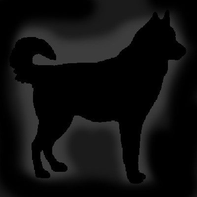 Người ta đã tìm thấy một hố chôn cất lớn chứa hàng ngàn bộ hài cốt.