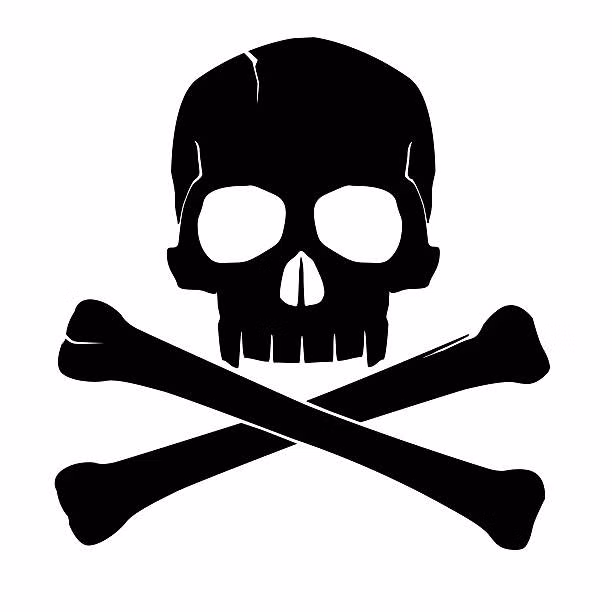 Theo đó, biểu tượng đầu lâu xương chéo xuất hiện ở cổng của nhiều nghĩa trang.