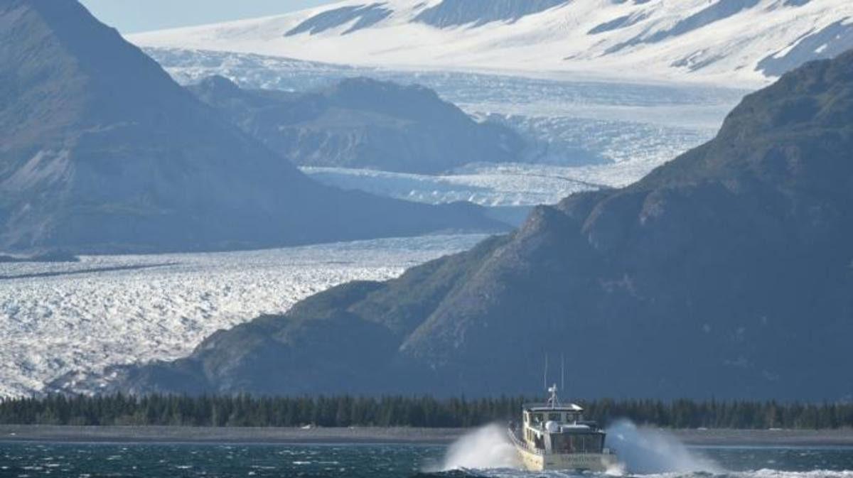 Vào thời điểm ấy, Alaska là vùng đất xa xôi, biệt lập và quanh năm lạnh giá. Người Nga vấn chưa phát hiện Alaska là vùng đất giàu tài nguyên, đặc biệt là dầu khí và đánh bắt thủy sản. Chính vì vậy, cuối cùng Nga quyết định bán Alaska cho Mỹ với giá 7,2 triệu USD.
