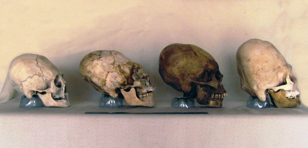 Vào năm 1928, Julio Tello phát hiện khoảng 300 hộp sọ kỳ lạ với hình dáng dài bất thường. Các nhà khảo cổ gọi chúng là hộp sọ Paracas do được tìm thấy tại bán đảo sa mạc Paracas, phía nam Peru.