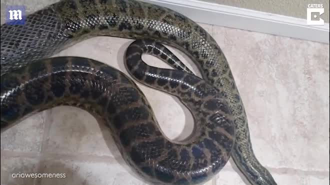 On lanh canh nguoi giup tran Nam My lot xac