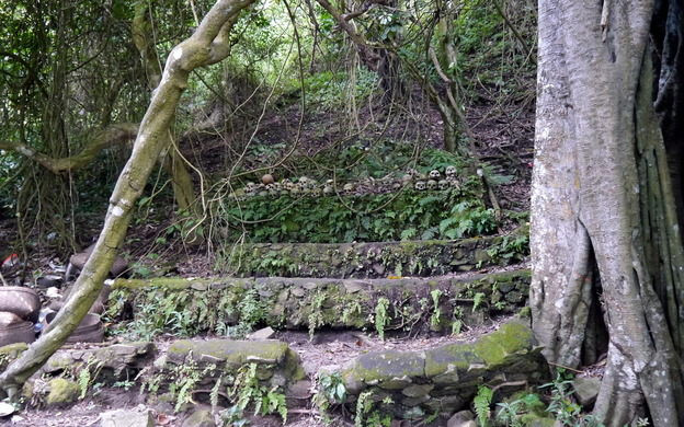 Dù thi hài người quá cố được đặt lộ thiên nhưng không bốc mùi khó chịu. Nguyên do được cho là vì cây Taru Menyan là "cây thần" tỏa ra mùi hương đặc biệt giúp xua tan mùi xác chết trong quá trình phân hủy.