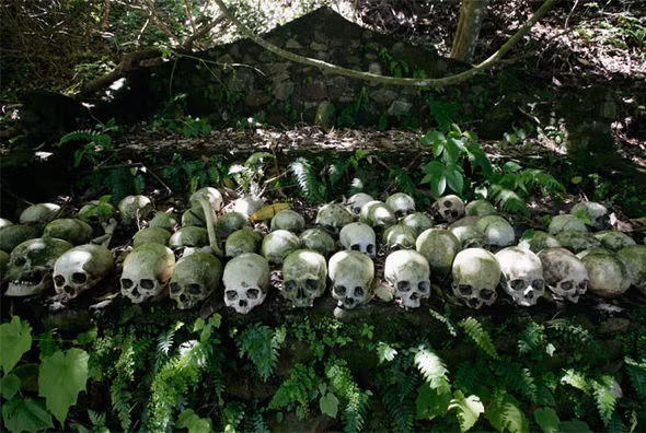 Trong khi ấy, những đối tượng còn lại được chôn cất xuống đất như bình thường tại nghĩa địa.