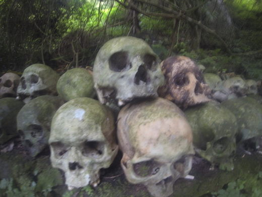 Không phải bất cứ người dân làng Trunyan nào cũng được thực hiện tập tục mai táng này. Chỉ có những người đã lập gia đình thì sau khi chết mới được tổ chức tang lễ theo cách trên.