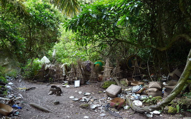 Theo người dân làng Trunyan, cây Taru Menyan có tuổi đời lên đến hơn 1.000 năm.