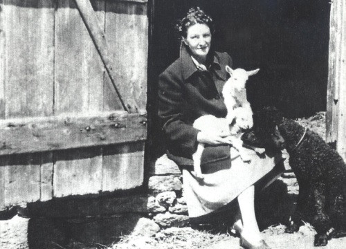 Germaine hoạt động hiệu quả khiến giới chức Đức quốc xã điên cuồng truy tìm danh tính và treo thưởng cao cho người nào bắt được bà.