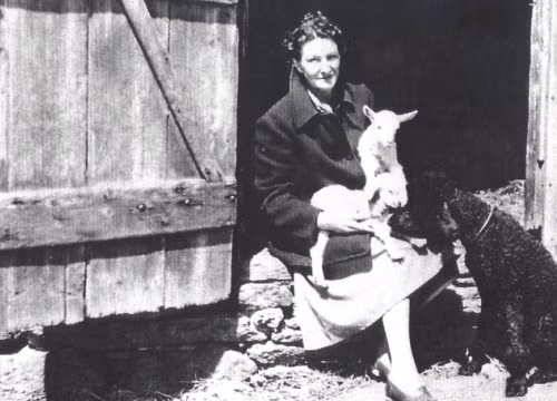 Germaine hoạt động hiệu quả khiến giới chức Đức quốc xã điên cuồng truy tìm danh tính và treo thưởng cao cho người nào bắt được bà.