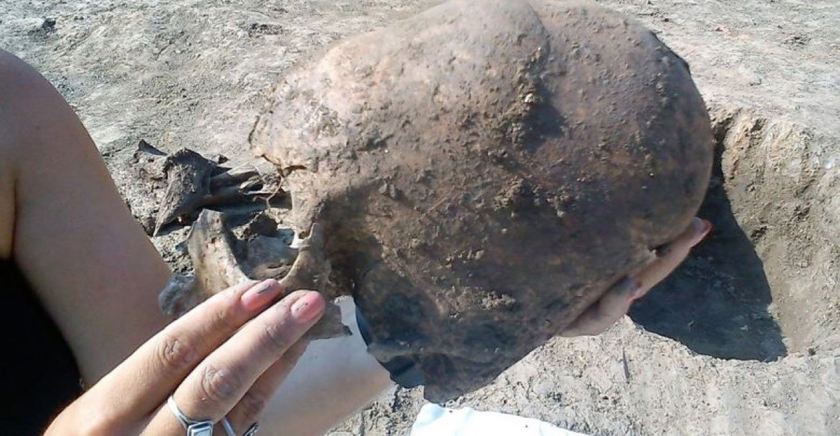 Kể từ năm 2014 - 2017, các chuyên gia đã tiến hàng một loạt kiểm tra, phân tích bao gồm cả phân tích ADN nhằm làm sáng tỏ bí ẩn về những bộ hài cốt có hộp sọ đặc biệt này.