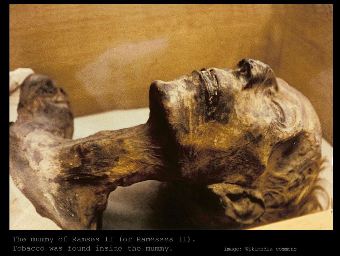 Thêm nữa, qua kiểm tra kỹ lưỡng, các chuyên gia xác định vị pharaoh cao khoảng 1,7m, da trắng và tóc đỏ. Ramses Đại đế bị chứng viêm khớp và áp xe.