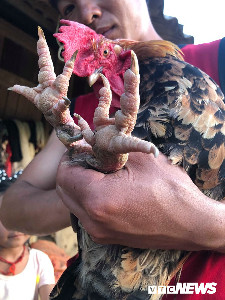 Bi an loi don ma am ga 9 cua bien doi gioi tinh o Son La-Hinh-3