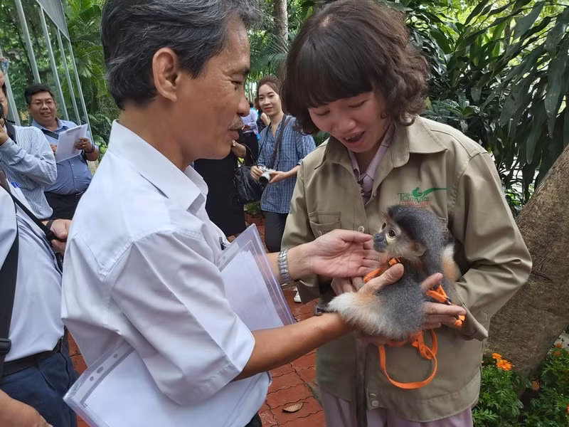Kỳ thú lễ đặt tên cho voọc tại Thảo Cầm Viên Sài Gòn Ky thu le dat ten cho vooc tai Thao Cam Vien Sai Gon