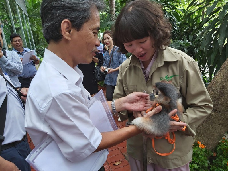 Ky thu le dat ten cho vooc tai Thao Cam Vien Sai Gon