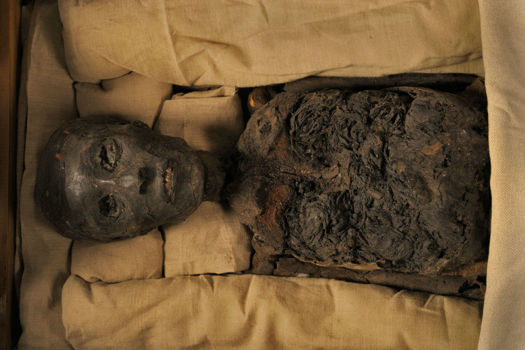 Theo sử sách Tutankhamun lên ngôi báu năm 1332 trước Công nguyên khi mới 9 tuổi. Dưới sự trị vì của ông, Ai Cập có sự phát triển lớn. Triều đại của ông được đánh giá là thời kỳ hoàng kim, phát triển rực rỡ nhất trong mọi vương triều Ai Cập cổ đại.