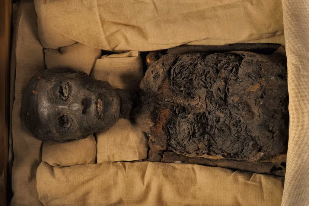 Theo sử sách Tutankhamun lên ngôi báu năm 1332 trước Công nguyên khi mới 9 tuổi. Dưới sự trị vì của ông, Ai Cập có sự phát triển lớn. Triều đại của ông được đánh giá là thời kỳ hoàng kim, phát triển rực rỡ nhất trong mọi vương triều Ai Cập cổ đại.