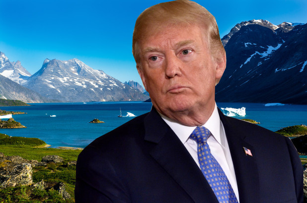 Trong số này có việc, nhiều chuyên gia nhận định đảo Greenland rất giàu tài nguyên thiên nhiên như: quặng sắt, chì, kẽm, kim cương, vàng, các nguyên tố đất hiếm, uranium và dầu.