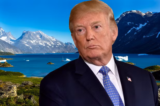 Trong số này có việc, nhiều chuyên gia nhận định đảo Greenland rất giàu tài nguyên thiên nhiên như: quặng sắt, chì, kẽm, kim cương, vàng, các nguyên tố đất hiếm, uranium và dầu.