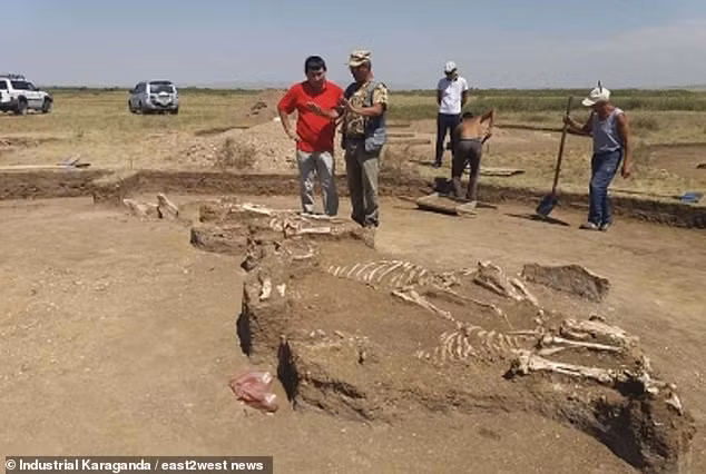 Bên cạnh 2 bộ hài cốt, các chuyên gia còn tìm thấy một số cổ vật giá trị bằng vàng, đồng trong ngôi mộ.