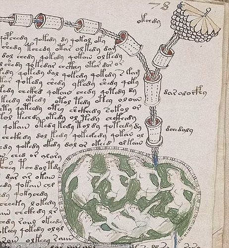 Kể từ khi phát hiện đến nay, các chuyên gia vẫn chưa thể giải mã được nội dung cuốn sách viết về lĩnh vực nào.