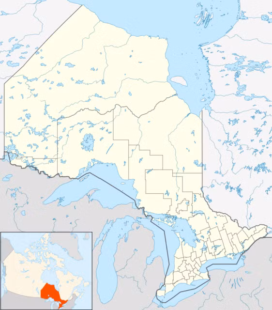 Sau khi hoàn thành khóa huấn luyện, nhân viên tình báo của lực lượng đồng minh tản ra các nước làm nhiệm vụ.