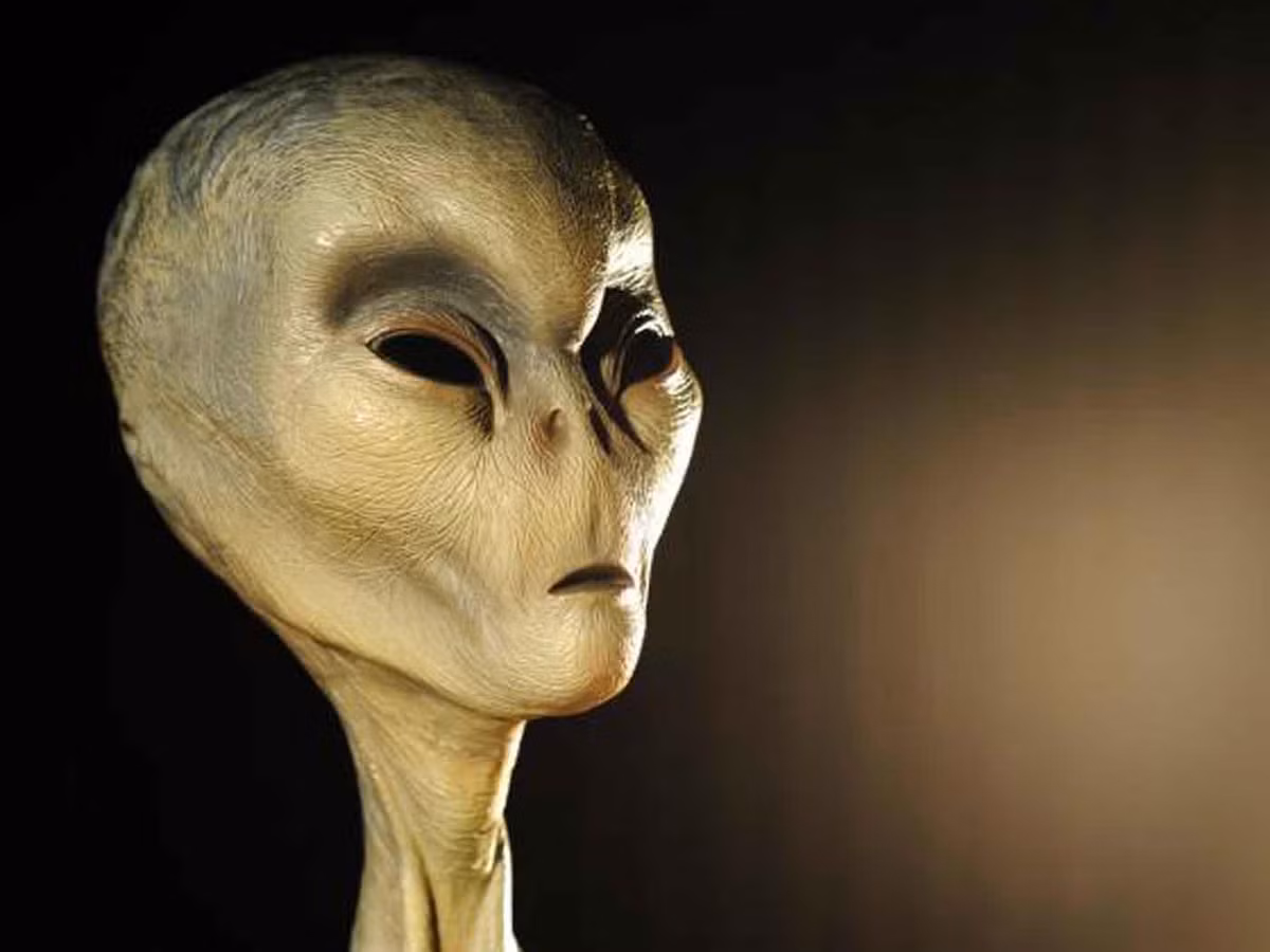 Thế nhưng, cấp trên của Bendlin không quan tâm đến vụ việc này và bảo ông không nên tiếp tục cuộc điều tra.