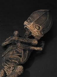 Bà Prosvirina nói với mọi người rằng, sinh vật mà bà bế là người con trai Alyoshenka. Sinh vật này mang hình dáng con người nhưng chỉ cao khoảng 20 - 25 cm. Trong khi đó, con trai thật của bà Prosvirina là Alyoshenka đã đến tuổi trưởng thành.