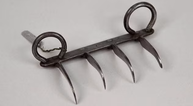 Bagh Nakh là vũ khí nổi tiếng của người Ấn Độ được sử dụng trong những năm 1700 - 1800. Trong tiếng Hindi, Bagh Nakh có nghĩa là móng vuốt của hổ.