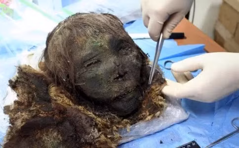 Trên gương mặt của "công chúa vùng cực" có màu xanh. Qua nghiên cứu, các chuyên gia nhận thấy sắc xanh trên gương mặt xác ướp đến từ những mẩu vụn của chiếc ấm đồng - cổ vật được mai táng cùng người phụ nữ trong hành trình sang thế giới bên kia.