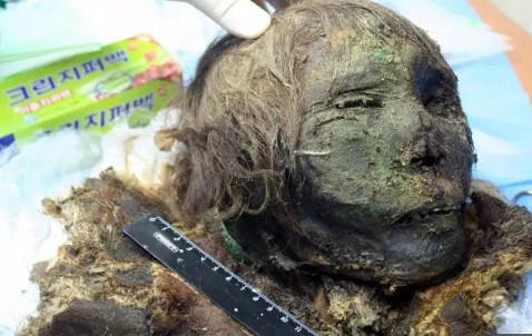 Kết quả nghiên cứu của các chuyên gia chỉ ra "công chúa vùng cực" qua đời khi khoảng 35 tuổi.