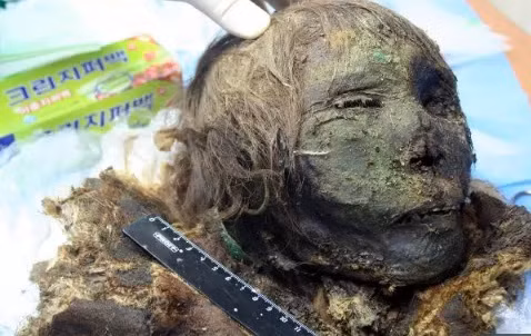 Kết quả nghiên cứu của các chuyên gia chỉ ra "công chúa vùng cực" qua đời khi khoảng 35 tuổi.