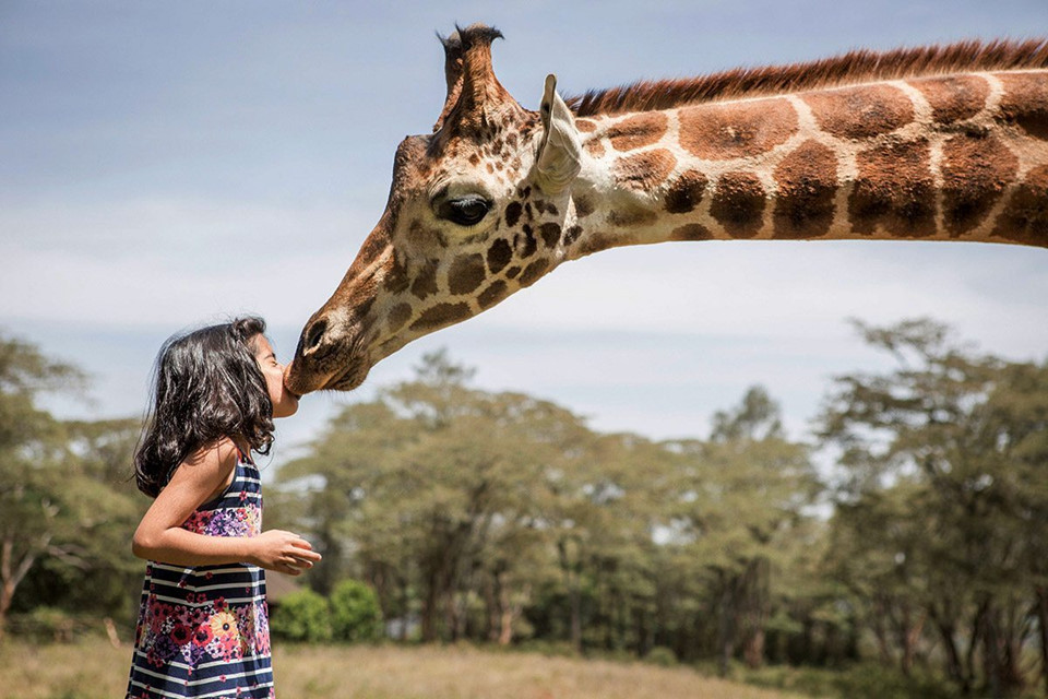 Năm 2007, hơn 1.000 người đã chết vì bạo lực sau cuộc tổng tuyển cử lần thứ 10. Đến năm 2017, bạo loạn khủng khiếp lại tiếp tục nổ ra sau cuộc bầu cử của Tổng thống Uhuru Kenyatta. Bộ Ngoại giao Anh từng đưa ra khuyến cáo du khách nước này có thể gặp rắc rối với những cuộc tấn công khủng bố của người Hồi giáo và đặc biệt khuyến cáo không nên tới khu vực giáp ranh Somalia nếu không cần thiết. Ảnh: Artof Safari.
