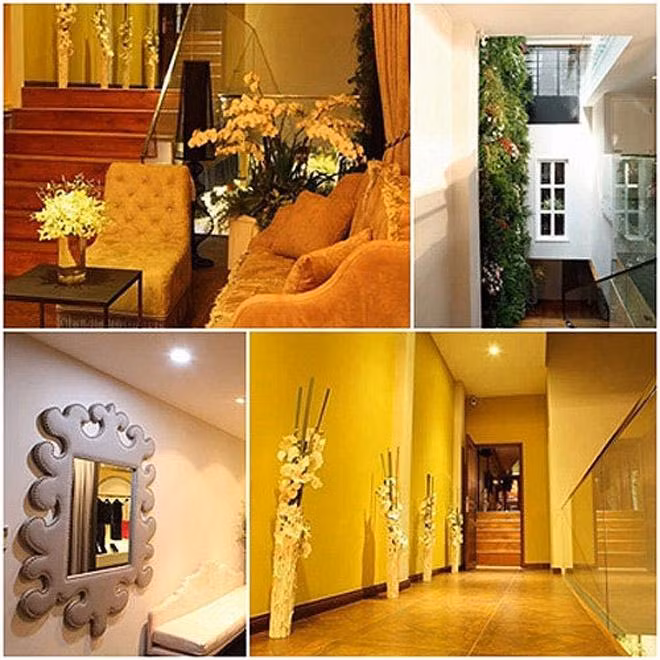 Công ty thời trang của Mỹ Tâm không chỉ kinh doanh hiệu quả nhờ vào danh tiếng của ‘Họa mi’ mà còn hấp dẫn khách hàng bởi sự phong phú về giá cả. Mặt hàng thời trang tại đây có giá từ vài trăm nghìn tới vài chục triệu đồng. Tầng 2 và tầng 3 kinh doanh dịch vụ đồ uống. Còn lại là trụ sở của công ty giải trí do cô sở hữu. 