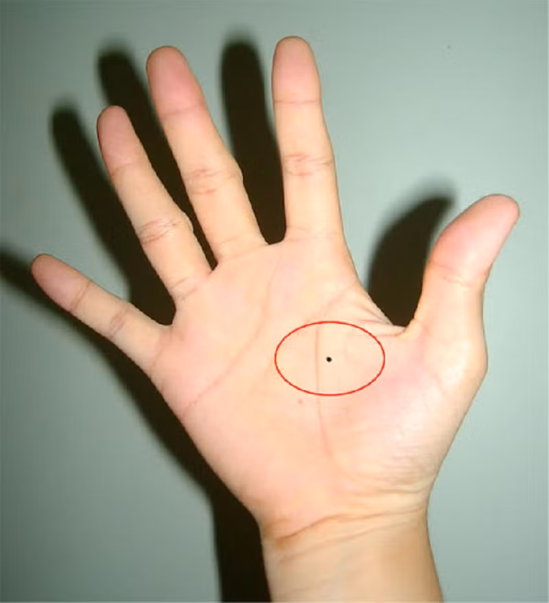 Đặc biệt, với những người sở hữu nốt ruồi ở lòng bàn tay thường là người thông minh, giỏi tính toán, giỏi quản lý tài chính. Trong công việc, họ khôn ngoan, nhạy bén, biết tìm ra những cơ hội hái ra tài lộc.