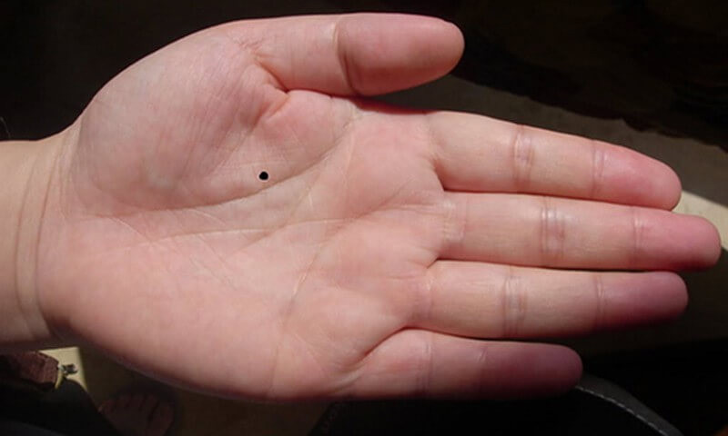 Nốt ruồi ở chính giữa lòng bàn tay được cho là nốt ruồi tụ tài. Ai sở hữu nốt ruồi này thì có khả năng quản lý tài chính cực tốt. Họ không chỉ giỏi kiếm tiền mà còn biết đầu tư để sinh lời, tiền đẻ ra tiền.