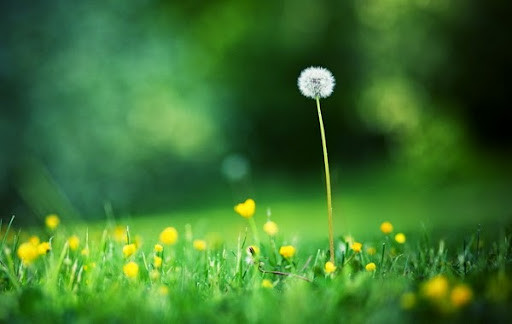 Bạn có quyền tự hào về điều đó, nhưng không đồng nghĩa chúng ta nên khoe khoang để bàn dân thiên hạ phải ngưỡng mộ. 