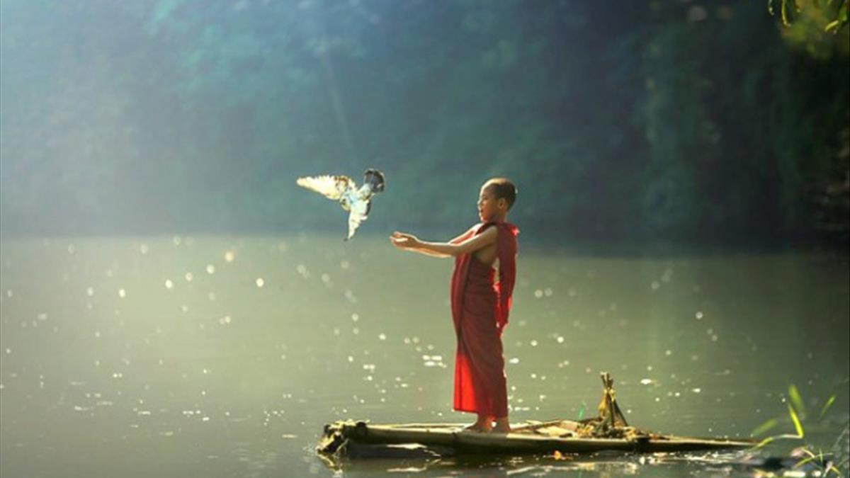 Làm người đừng bao giờ khoe khoang thái quá, nên khiêm tốn để sống tốt hơn.