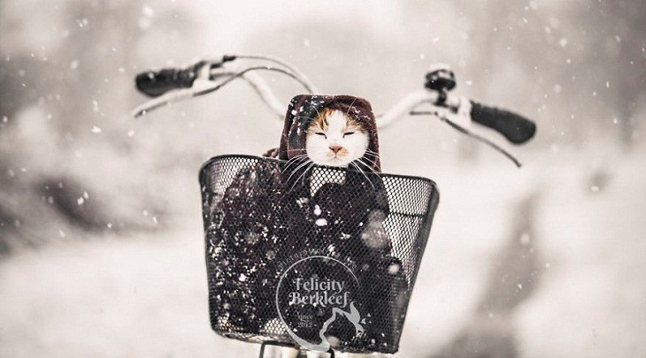 Dù được sinh ra trong hoàn cảnh nào, những người sinh vào tháng Âm lịch này luôn tự tin, vững chãi, biết tiến lên phía trước để tìm kiếm cơ hội xây dựng cuộc sống viên mãn sung túc. Họ cũng là những người có tinh thần thép, sẵn sàng đối mặt với gian nan thử thách để tìm kiếm cơ hội đổi đời.