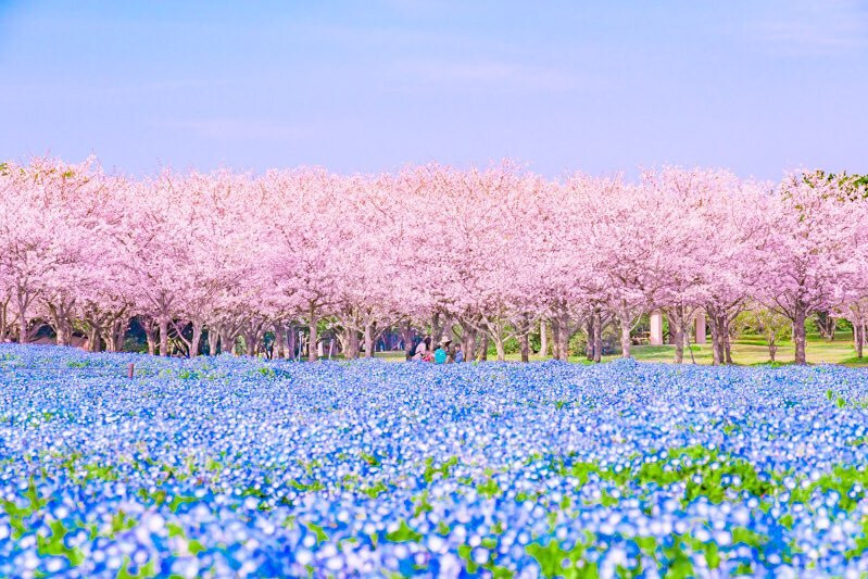 Từ giai đoạn này đến cuối năm, những người này sẽ được quý nhân và Thần Tài chiếu cố hết mực, làm gì cũng thuận buồm xuôi gió, cuối năm nay nếu may mắn đổi xe đổi nhà trong chớp mắt.