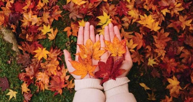 Bước vào nửa cuối năm 2021 này, đa số những người sinh vào tháng Âm lịch này đều công thành danh toại, không phải thăng quan tiến chức thì cũng tìm được cơ hội để phát tài.