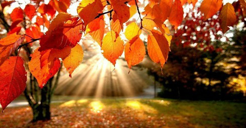 So với những người khác, phụ nữ sinh vào tháng này có bản lĩnh tuyệt vời, không chỉ có khả năng tự mình tạo dựng phú quý mà còn đem đến may mắn và sự thịnh vượng cho gia đình. Bước vào một giai đoạn nhất định, một mình họ có thể cân mọi thứ, là chỗ dựa vững chắc cho gia đình.