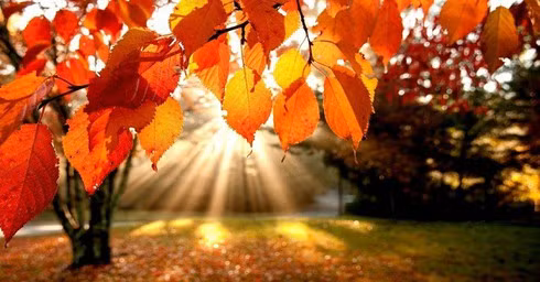 So với những người khác, phụ nữ sinh vào tháng này có bản lĩnh tuyệt vời, không chỉ có khả năng tự mình tạo dựng phú quý mà còn đem đến may mắn và sự thịnh vượng cho gia đình. Bước vào một giai đoạn nhất định, một mình họ có thể cân mọi thứ, là chỗ dựa vững chắc cho gia đình.