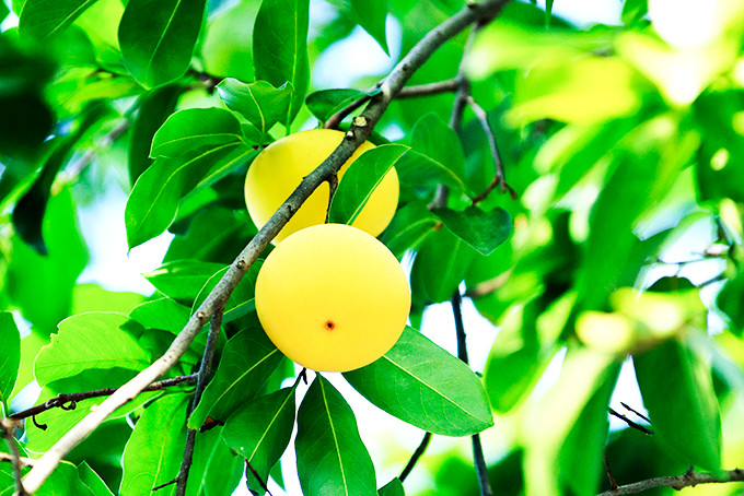 Ngày trước khó khăn thế nào không biết nhưng từ cuối tháng 7 Âm lịch này trở đi, từ sự nghiệp, nhân duyên đến tài vận mỗi ngày đều có sự phát triển rõ rệt. Cuối năm 2021 tới đây, những người sinh vào tháng này hãy chuẩn bị tinh thần để đón nhận cơ hội hoàng kim, có thể giúp họ đổi đời và tận hưởng cuộc sống thập toàn thập mỹ.