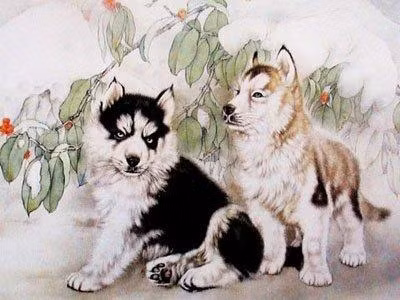 Tổng thể vận thế: Cùng lúc gặp được Thiên Đức quý nhân và Nguyệt Đức quý nhân hình thành thế Nhật Nguyệt hội chiếu, thêm sự trợ giúp của Thái Tuế, Thiên Ấn đại vận bảo vệ cung Nhân Duyên, sự nghiệp, công việc, tình cảm của tuổi Tuất năm nay đều thuận buồm xuôi gió, mãn nguyện như ý, các mối quan hệ xã hội phát triển, dẹp được họa tiểu nhân. Tuy vậy vẫn cần phải hết sức cẩn thận vì gặp phải hung tinh Điếu Khách bại Thọ và Thiên Cẩu thực tài, dễ gặp tai họa, thậm chí gia tộc có thể tang sự, tài vận kém, kiếm tiền vất vả. Nhưng nhìn tổng thể tuổi Tuất vẫn có được cát vận trong năm 2016.