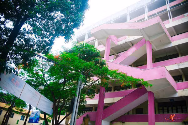 Không chỉ có Đại học Giao thông Vận tải mà Đại học Công nghiệp, Đại học Thương mại Hà Nội... cũng đều có những bức ảnh cho thấy phần tường đã được đổi thành màu hồng rực rỡ, vô cùng nổi bật. Thông tin gây xôn xao và quá nhiều tranh cãi dẫn đến việc đích thân nhiều bạn trẻ đã tự nhận làm đại diện đi thăm dò thực tế để xem thông tin các ngôi trường đổi màu sơn gây sốc có phải thật hay không.