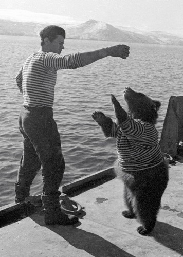 Anh lính Nga chơi đùa cùng chú gấu trên boong tàu cũng khoác chiếc áo huyền thoại này.