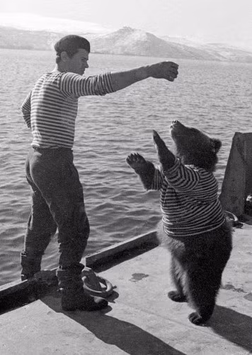 Anh lính Nga chơi đùa cùng chú gấu trên boong tàu cũng khoác chiếc áo huyền thoại này.